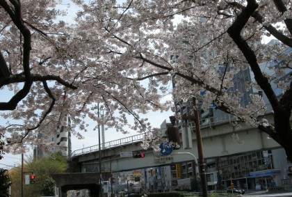 dscn9654-2