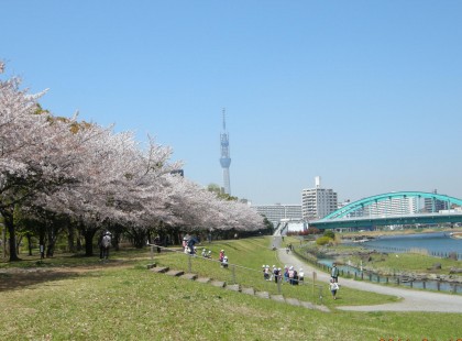 dscn9694-2