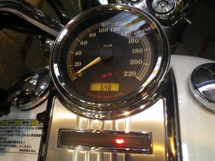 imgp0239